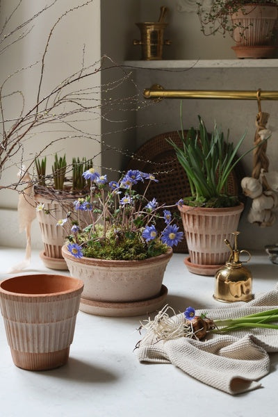 copenhagen plant pot Bergs Potter - Copenhagen 'Castle' Pot & Saucer